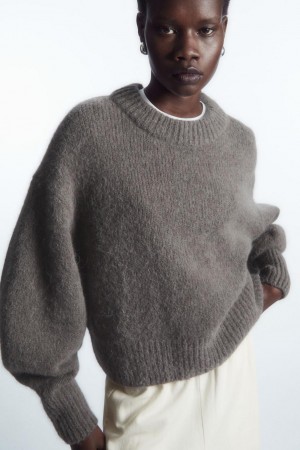 COS Alpaca-blend Crew-neck Jumpers Női Barna | QVU-385702